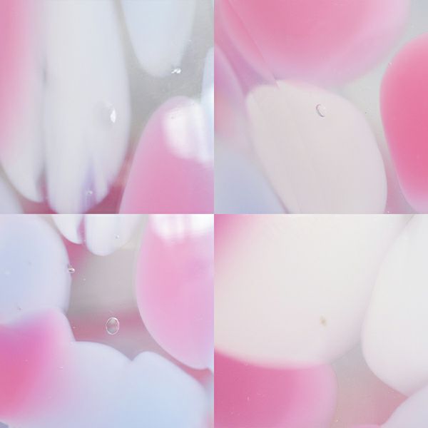 アデリア 花器 津軽花色