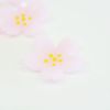 桜花びら箸置セット