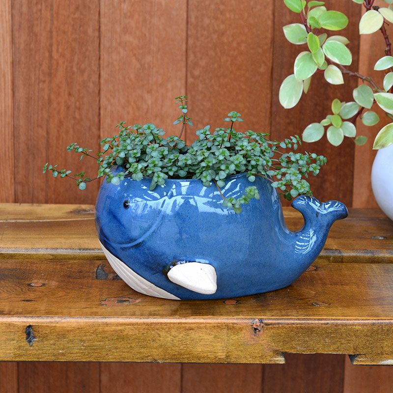 プランターカバー クジラ L｜和食器通販｜織部 Online Store【公式】 