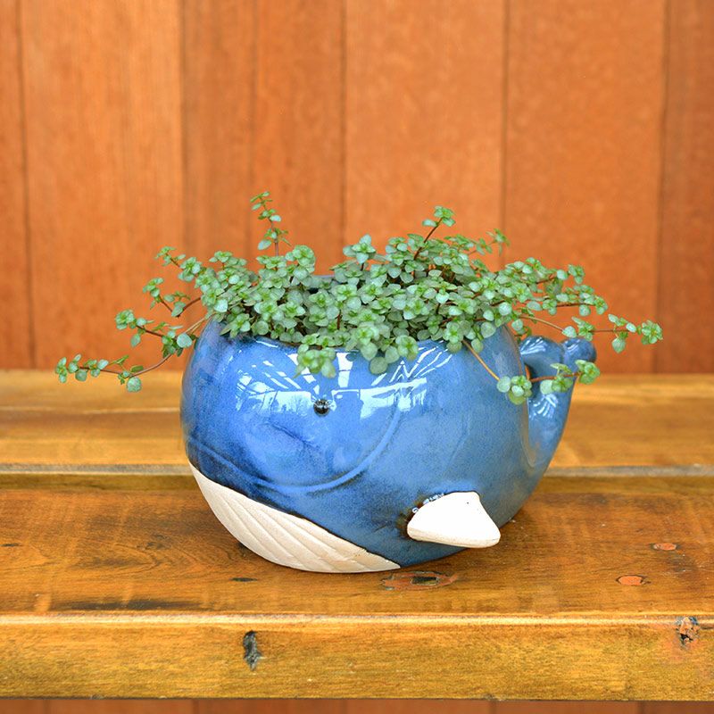 プランターカバー クジラ L|和食器通販|織部 Online Store プランターカバー クジラ L|和食器通販|織部 Online Store