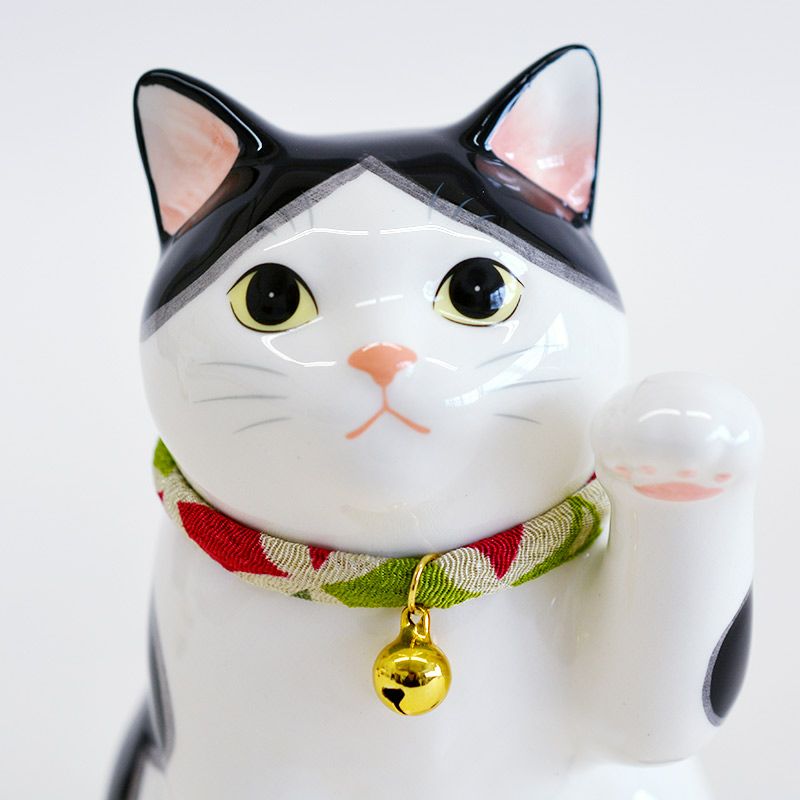 きょとんとした表情がかわいい猫です