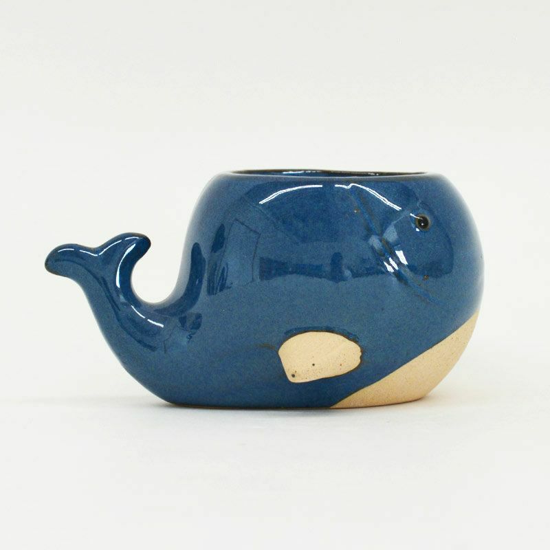 陶器でできたクジラのプランターカバーです