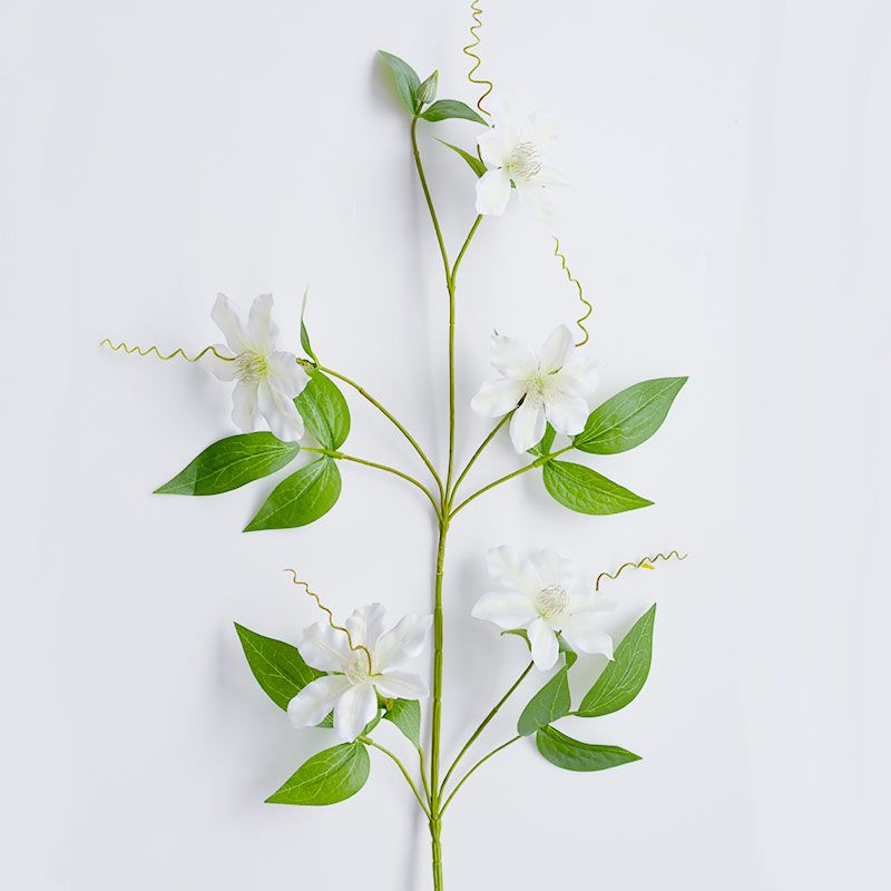 クレマチス2024 ホワイト｜和食器通販｜織部 Online Store【公式】