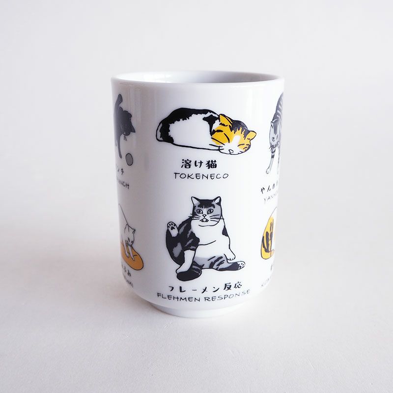 猫のあるあるが満載です