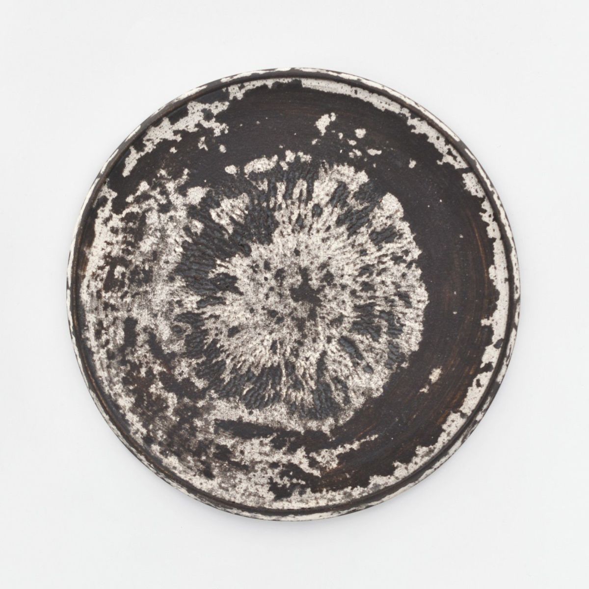 紺野乃芙子｜和食器通販｜織部 Online Store【公式】