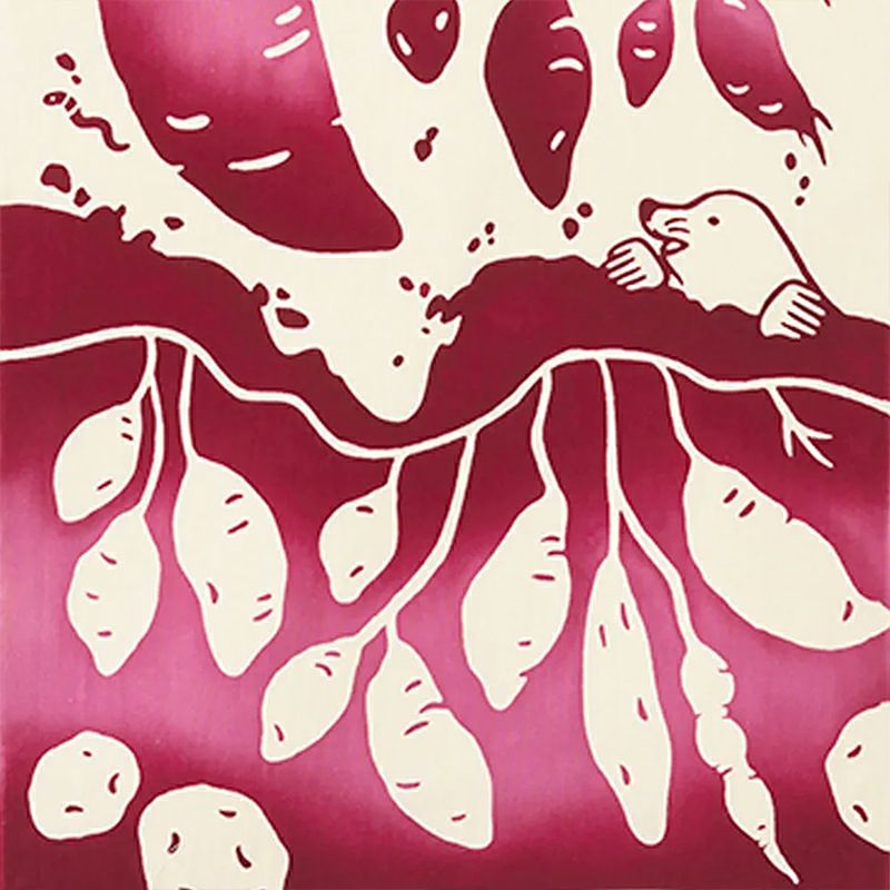 あれ、じゃがいもが混ざってる？