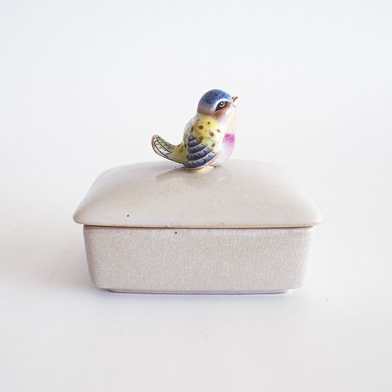 彩り豊かな色彩を纏った小鳥です