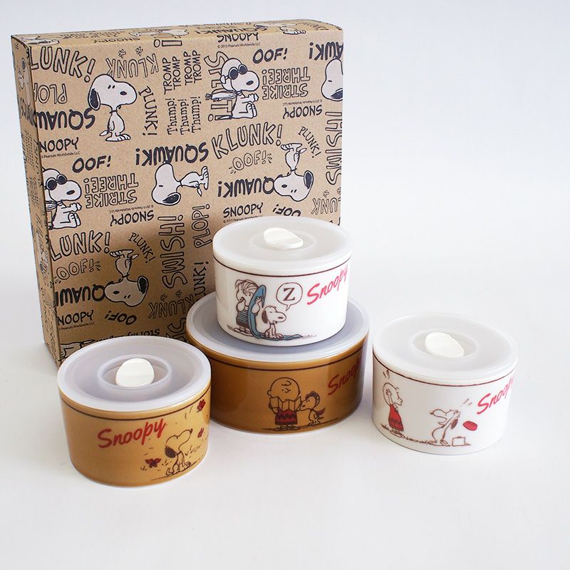 レンジ対応4点セットです